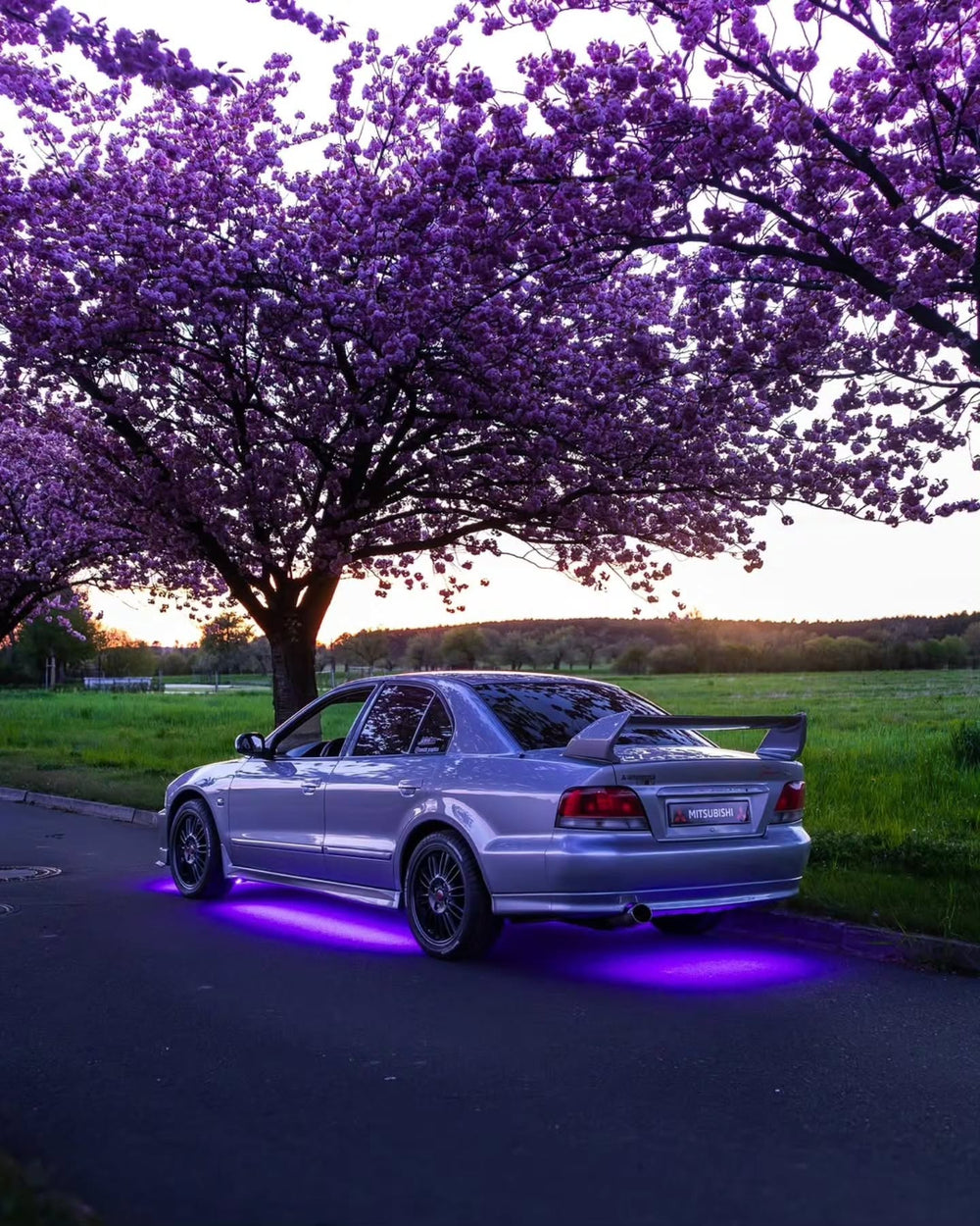 Built to live under your car